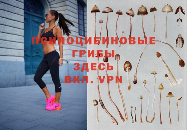 mdpv Фёдоровский