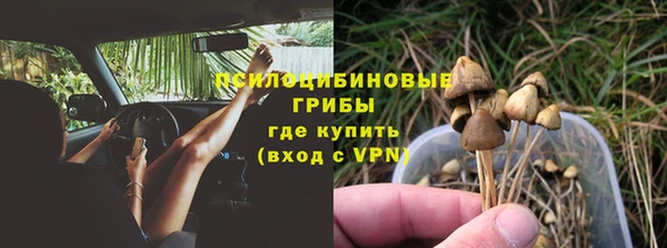 mix Лабытнанги