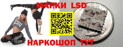 apvp Камышлов