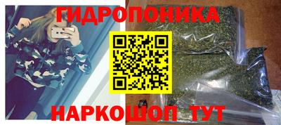 apvp Камышлов