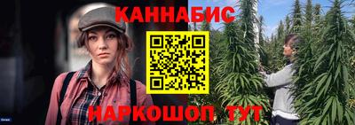 apvp Камышлов
