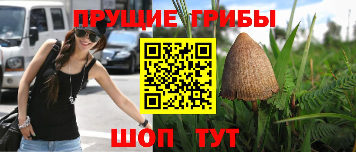 магазин    Галлюциногенные грибы Psilocybine cubensis  Вход с VPN  Новокузнецк 